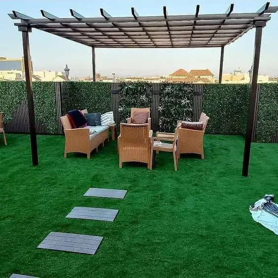 صورة المقال