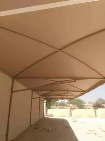 صورة المقال