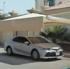 صورة المقال