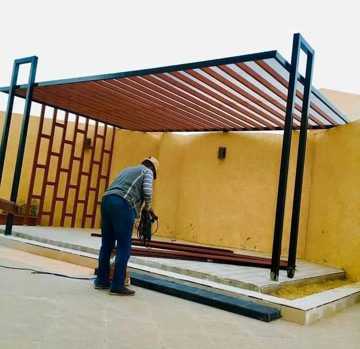 صورة المقال