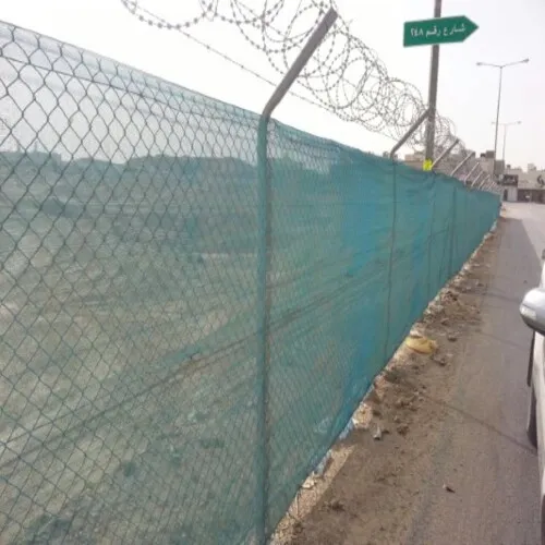 صورة المقال