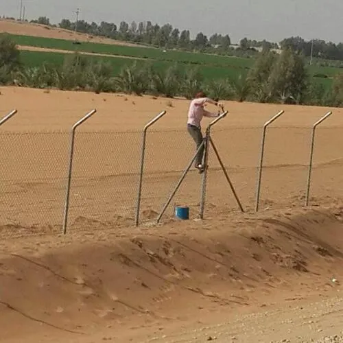 صورة المقال