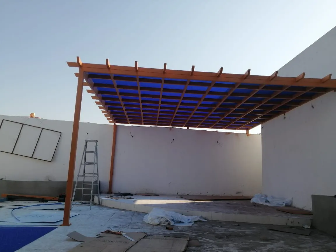 صورة المقال