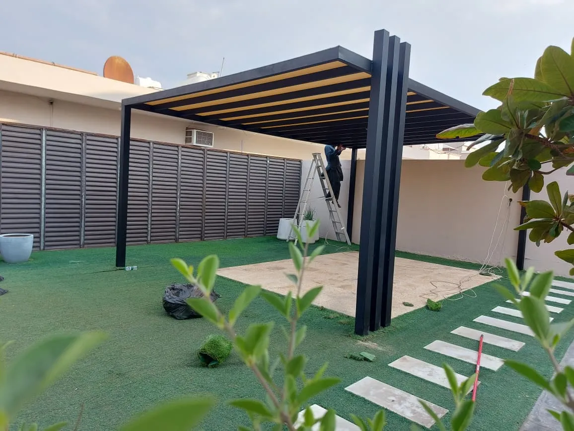 صورة المقال