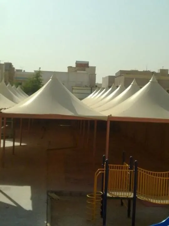 صورة المقال