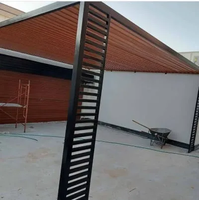 صورة المقال