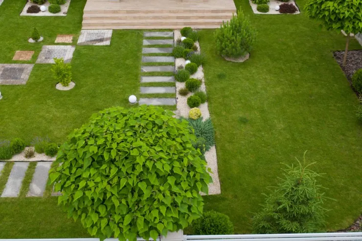 تركيب عشب صناعي في حوش منزلك حي الصحافة بالرياض 