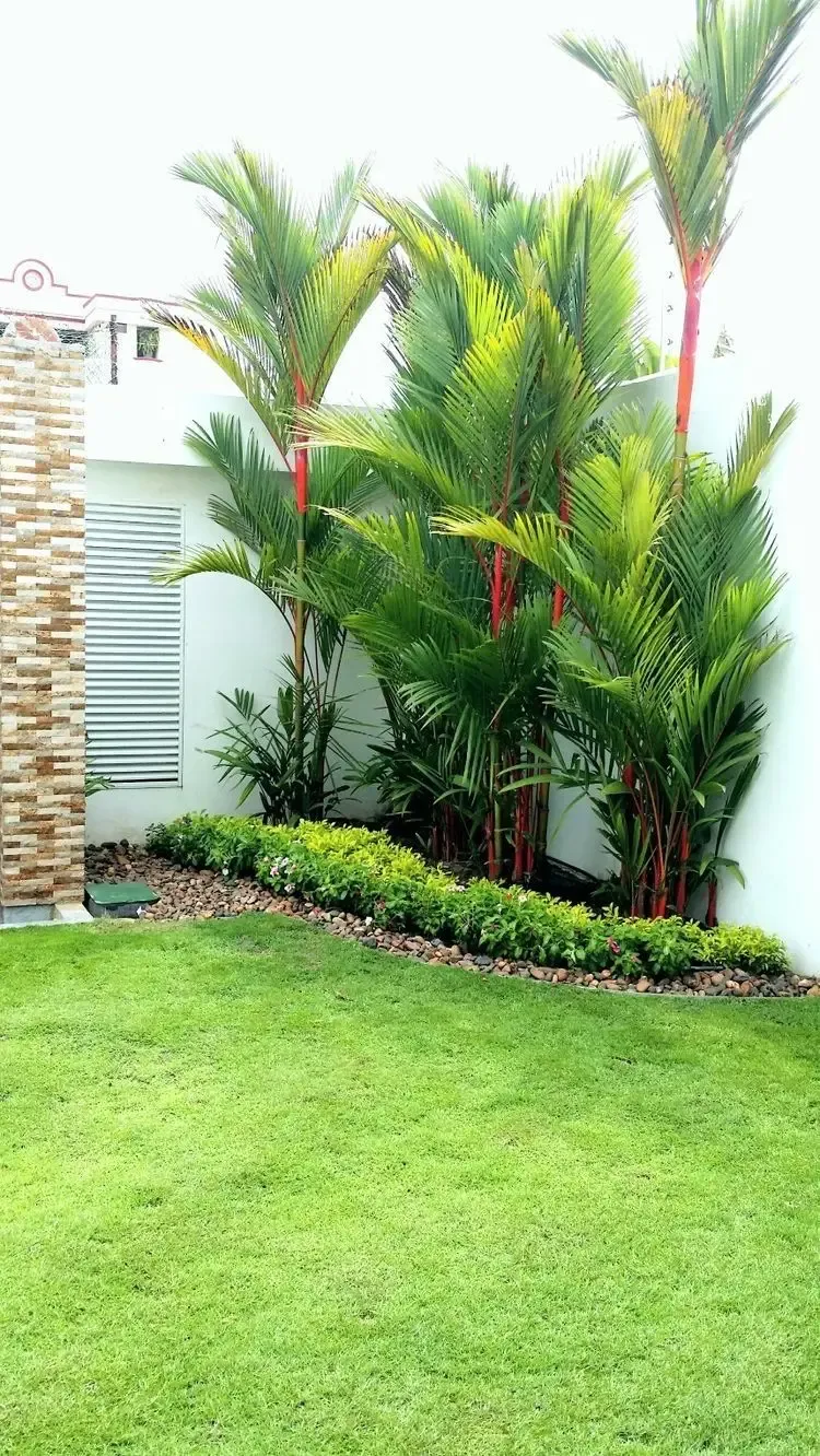 تركيب عشب صناعي لتنسيق حدائق حي التخصصي بالرياض 