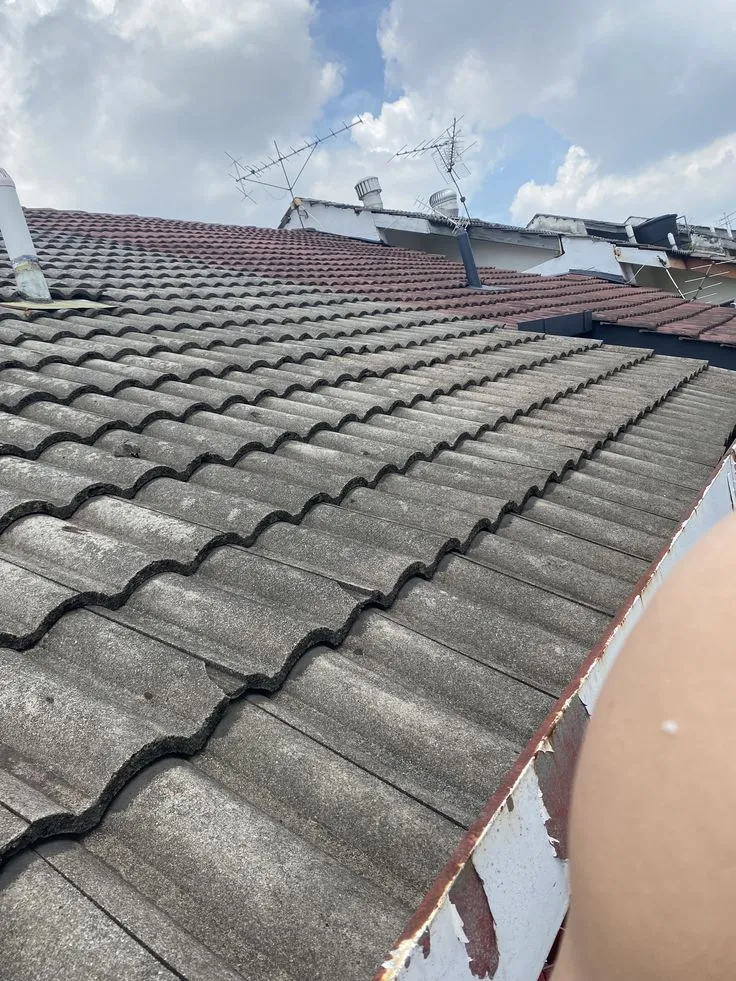 دليل تركيب قرميد الأسطح حي الصحافة والبن: الأنواع، الخطوات