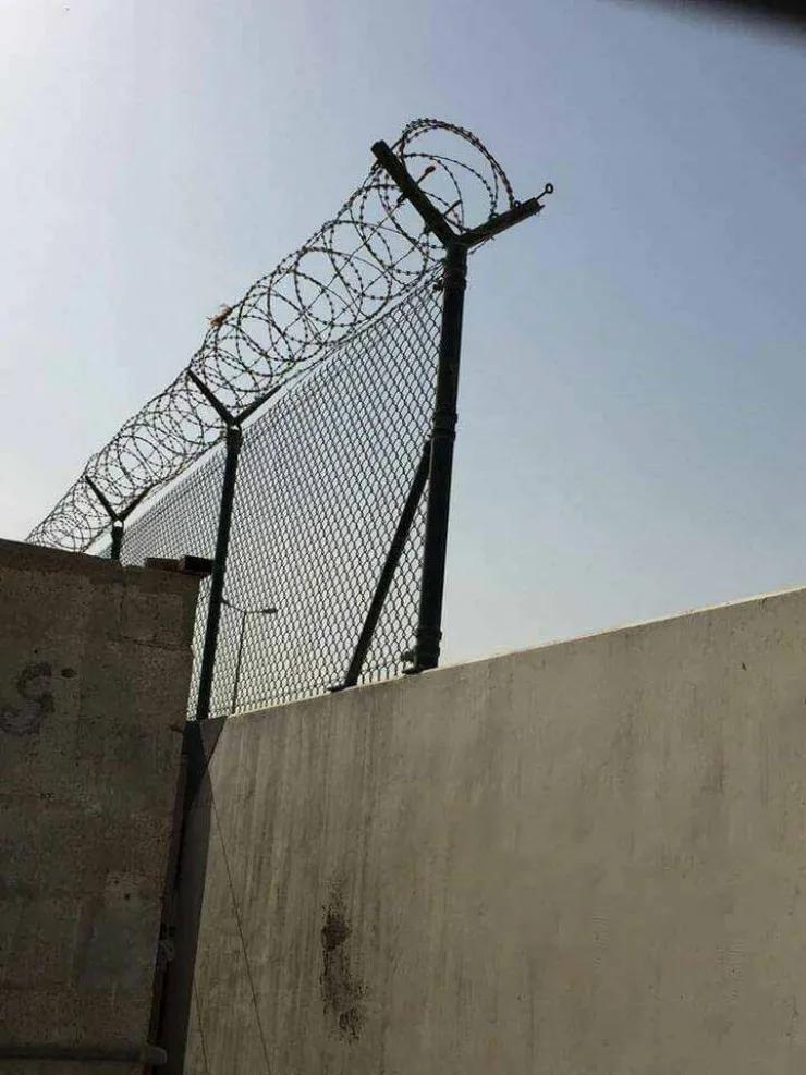 أفضل أماكن توريد وتركيب شبوك زراعية بالرياض| أسعار تنافسية 